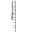 Roof Access Cage Ladder